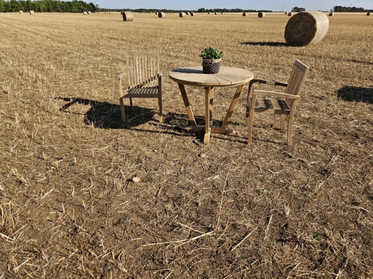 Teakholz Stapelstuhl Lori 