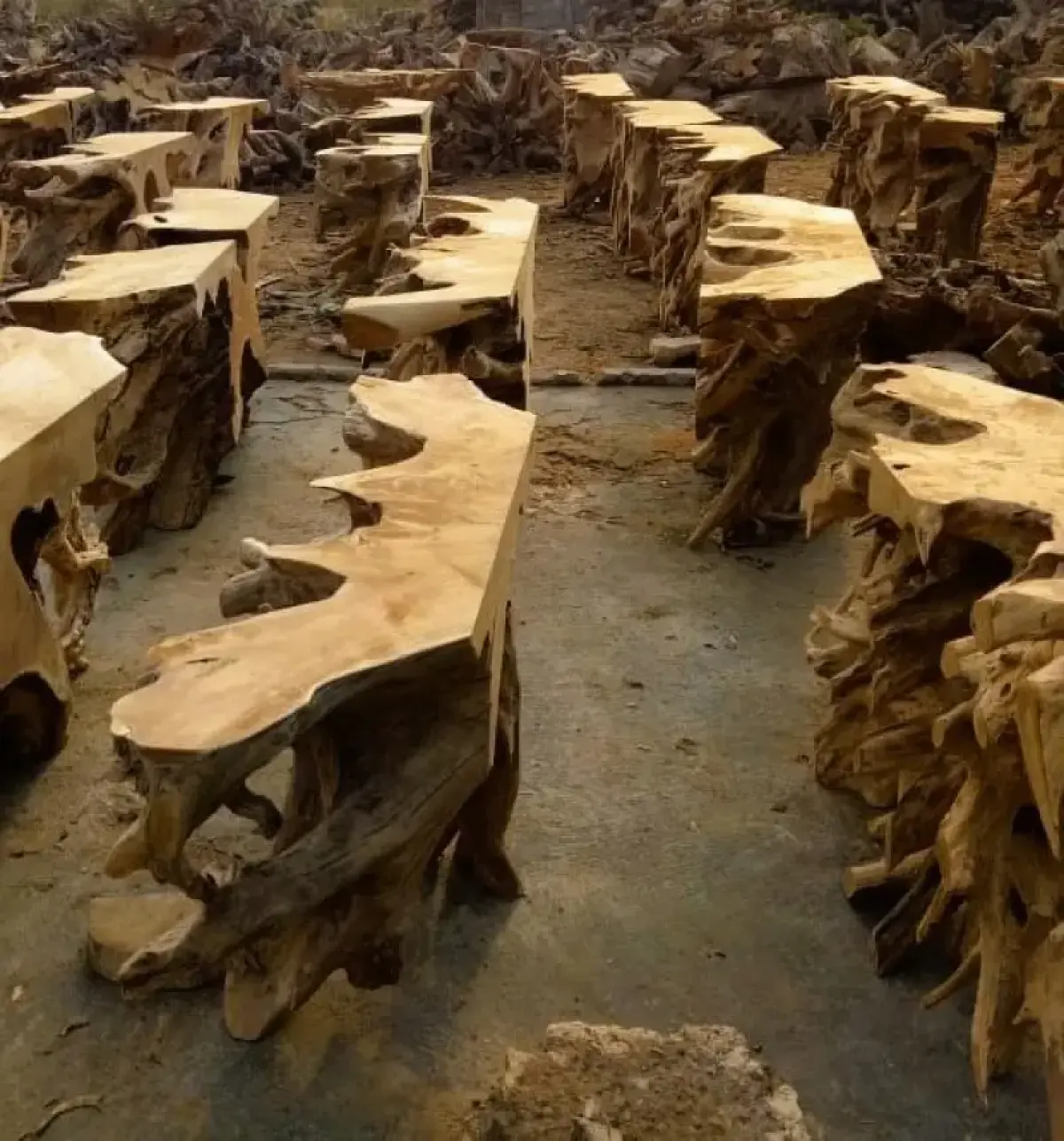 Teak Wurzel Konsolentisch Almata